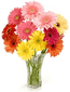A picture of a bouquet of flowers, the symbol of RSS 2.0.